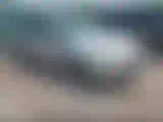 Vehicle Image- 2014 Ford Focus