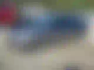 Vehicle Image- 2014 Ford Focus