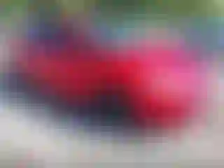 Vehicle Image- 2014 Ford Focus