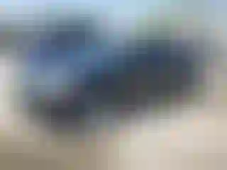 Vehicle Image- 2014 Ford Focus
