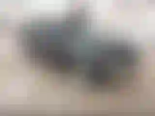 Vehicle Image- 2015 Ford Focus