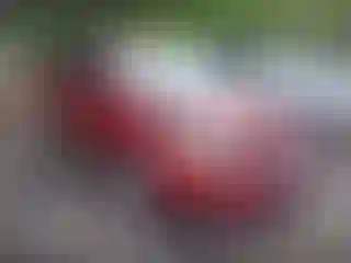 Vehicle Image- 2015 Ford Focus