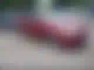 Vehicle Image- 2014 Ford Focus