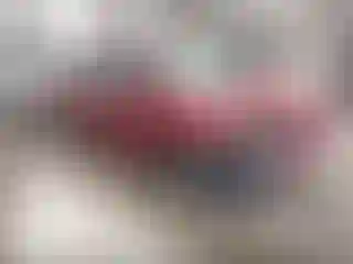 Vehicle Image- 2014 Ford Focus