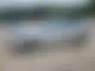 Vehicle Image- 2014 Ford Focus