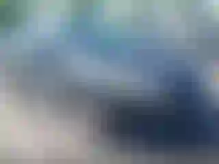 Vehicle Image- 2015 Ford Focus