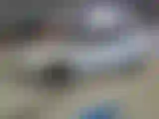 Vehicle Image- 2015 Ford Focus