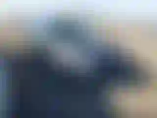 Vehicle Image- 2016 Ford Focus