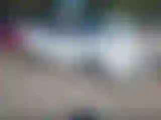 Vehicle Image- 2013 Ford Focus