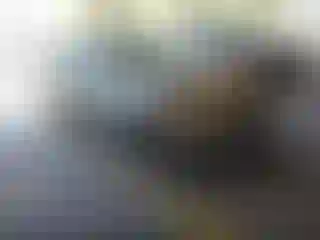 Vehicle Image- 2013 Ford Focus