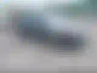 Vehicle Image- 2013 Ford Focus