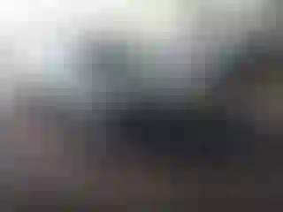 Vehicle Image- 2013 Ford Focus