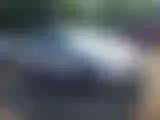 Vehicle Image- 2014 Ford Focus