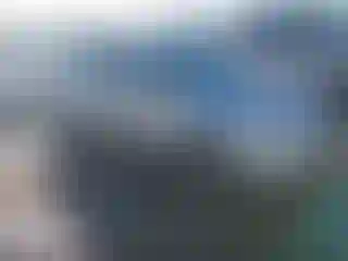 Vehicle Image- 2014 Ford Focus