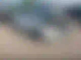 Vehicle Image- 2014 Ford Focus