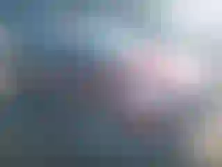Vehicle Image- 2014 Ford Focus