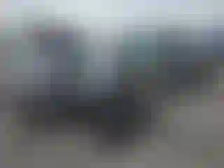 Vehicle Image- 2014 Ford Focus