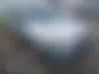 Vehicle Image- 2015 Ford Focus