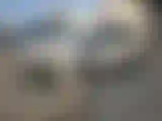 Vehicle Image- 2018 Ford Focus