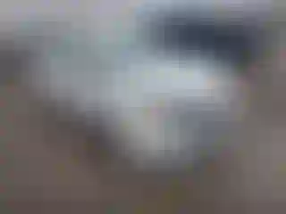 Vehicle Image- 2013 Ford Focus