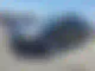 Vehicle Image- 2013 Ford Focus