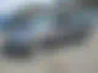 Vehicle Image- 2014 Ford Focus