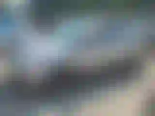 Vehicle Image- 2014 Ford Focus