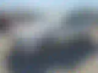 Vehicle Image- 2014 Ford Focus