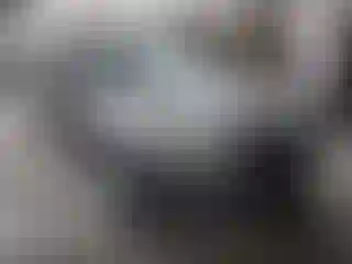 Vehicle Image- 2014 Ford Focus