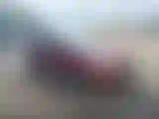 Vehicle Image- 2014 Ford Focus