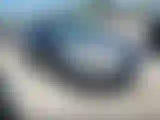 Vehicle Image- 2014 Ford Focus