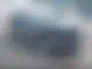 Vehicle Image- 2014 Ford Focus