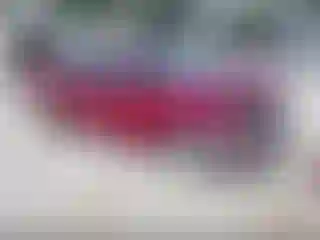 Vehicle Image- 2014 Ford Focus