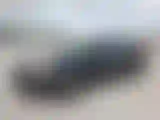 Vehicle Image- 2014 Ford Focus