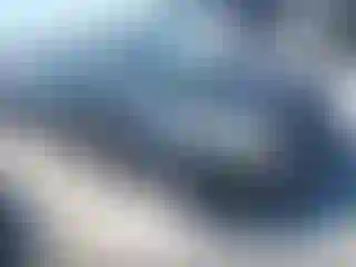 Vehicle Image- 2014 Ford Focus