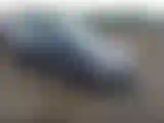 Vehicle Image- 2015 Ford Focus