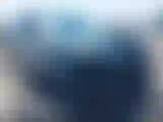 Vehicle Image- 2015 Ford Focus