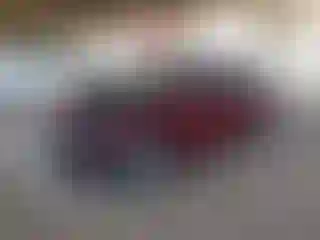 Vehicle Image- 2016 Ford Focus