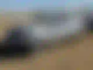 Vehicle Image- 2016 Ford Focus