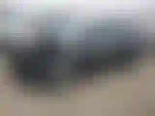Vehicle Image- 2017 Ford Focus
