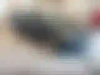 Vehicle Image- 2017 Ford Focus