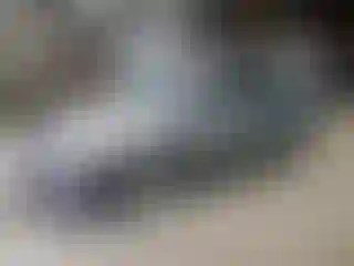 Vehicle Image- 2013 Ford Focus