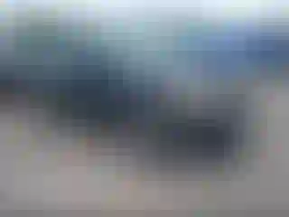 Vehicle Image- 2014 Ford Focus