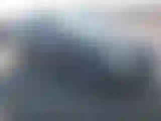 Vehicle Image- 2014 Ford Focus