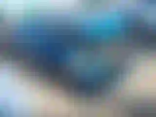 Vehicle Image- 2014 Ford Focus