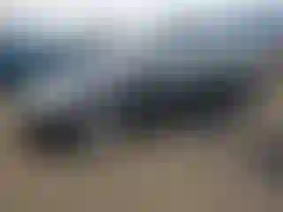 Vehicle Image- 2014 Ford Focus
