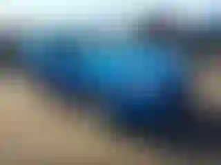 Vehicle Image- 2014 Ford Focus