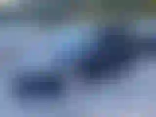 Vehicle Image- 2015 Ford Focus