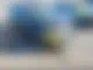 Vehicle Image- 2015 Ford Focus