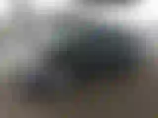 Vehicle Image- 2015 Ford Focus